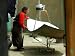 An Elderly Woman Tries to Get the Angle Right on the Blades of Solar Power Cooker to Boil Water Photographic Poster Print, 32x24