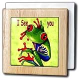 Review 3dRose LLC  / Frog I see You - 6 Inch Tile Napkin Holder