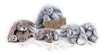 Stuffed Bunny - Baby Praline Bunny - 12