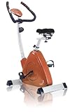 CAP Barbell Omega Tri-Bike