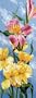 Paint By Number Kit Tall 17-1/4X6-1/4