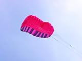 Outdoor Living : Pink 200x60 Foil Kite