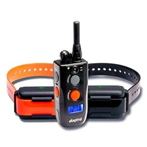 Dogtra Field Star 1/2 Mile Remote Trainer (2 Dogs) Dogtra Field Star 1/2 Mile Remote Trainer (2 Dogs)