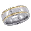 Titanium Men's Ring
