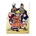 Naruto: Naruto "Group" Anime Wall Scroll GE9613