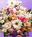 Delicate Delight