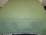 TUSCANY PEA POD GREEN TWIN QUILT
