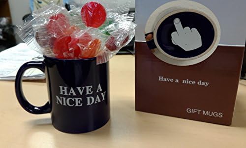 Have a Nice Day Middle Finger Coffee Mug 11oz Laser Engraved-blue