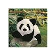 Chopsticks Jr. by Gund