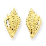 14k Mini Conch Shell Post Earrings