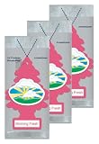 Little Trees Hanging Car and Home Air Freshener, Morning Fresh (Pack of 3)