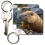 Wild animals - Groundhog - Key Chains