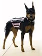 Dominatrix Dog Costume Halloween Costumes For Dogs Doginatrix Pet Lovers