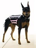 Dominatrix Dog Costume Halloween Costumes For Dogs Doginatrix Pet Lovers