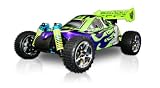 Redcat Racing Tornado S30 Purple/Green 1/10 Scale Nitro RC Buggy