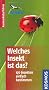 Welches Insekt ist das?: 170 Insekten einfach bestimmen