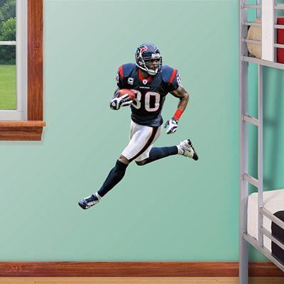 Fathead NFL Houston Texans Andre Johnson Junior Wall Graphic