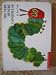 The Very Hungry Caterpillar