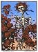 Grateful Dead Skeleton and Roses - Rectangular Sticker / Decal