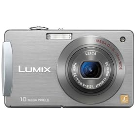 Panasonic Lumix DMC-FX500S - Digital camera - compact - 10.1 Mpix - optical zoom: 5 x - supported memory: MMC, SD, SDHC - silver