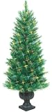 4' Potted Cambridge Slim Just Cut Pre-Lit Artificial Christmas Tree Multi Lights