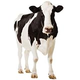 Cow Life-Size Standup Poster