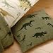 Kitchen & Housewares : Dinosaurs Cushion (Multi), 60cm x 60cm
