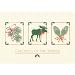 Snow Lodge Boxed Holiday Cards (18 count)
