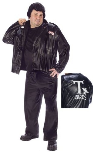 Plus Size Danny Costume