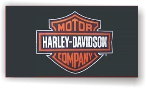 HARLEY DAVIDSON DYNA SPORTSTER SOFTAIL VRSC TOURING FLAG DEALER BANNER