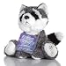 Shining Stars Raccoon
