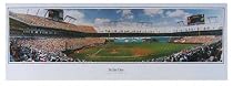 Florida Marlins "Strike One" Unframed Poster