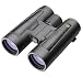 Leupold 10x42 BX-2 Acadia, Water Proof, Roof Prism Binocular with 7.0 Degree Angle of View, Black