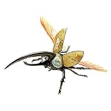 Hercules Beetle 3-D Anatomic Model Puzzle