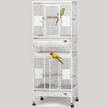 Avian Adventures Multi Vista Bird Cage