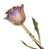 Long Stem 24k Dipped Gold Trim White & Blue Opal Rose With Gift Box