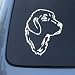 GOLDEN RETRIEVER HEAD - Dog - Vinyl Decal Sticker #1518 | Vinyl Color: White