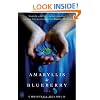 Amaryllis in Blueberry