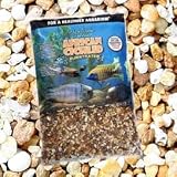 African Cichlid Malawi Mix 20lb 2cs (Catalog Category: Aquarium / Gravel Sand-freshwater)