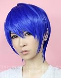 VOCALOID風◆千本桜　カイト　kaito◆コスプレウィッグ ＋ウイッグネット