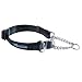 Canine Equipment Technika 3/4-Inch Martingale Dog Collar, 10 to 16-Inch, Small, Black
