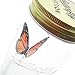 My Butterfly Collection - Animated Butterfly in a Jar - Monarch