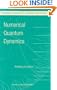Numerical Quantum Dynamics (Progress in Theoretical Chemistry and Physics)