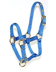 Hamilton 3/4-Inch Adjustable Miniature Nylon Horse Halter, Yearling, Berry Blue