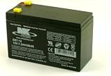 12 Volt 7 Ah Sealed Lead Acid Battery
