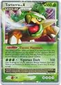 Pokemon Promo Card Holofoil Torterra Level X DP09