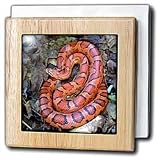 CORN SNAKE - 6 Inch Tile Napkin Holder