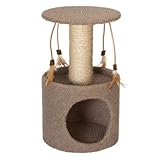 Starter Kit Dura Cat Scratch Color