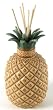 Pineapple Reed Diffuser Set