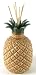 Pineapple Reed Diffuser Set